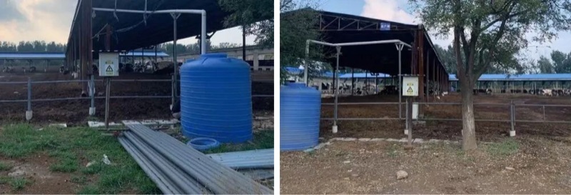 养殖场周边氨气被动采样监测应用场景