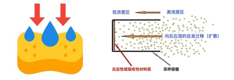 被动采样器工作原理:污染物分子沿浓度梯度自然扩散进入采样器被吸收介质捕获